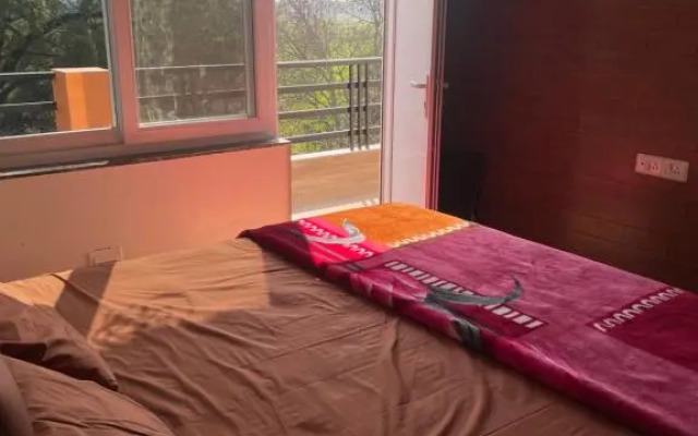 Kaashi Flora (Modern Suite)