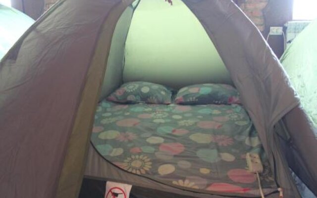 Tent Hostel