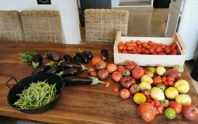 La Peyregoune, Logement En Pleine Nature Et Table D'hotes (Adults Only)