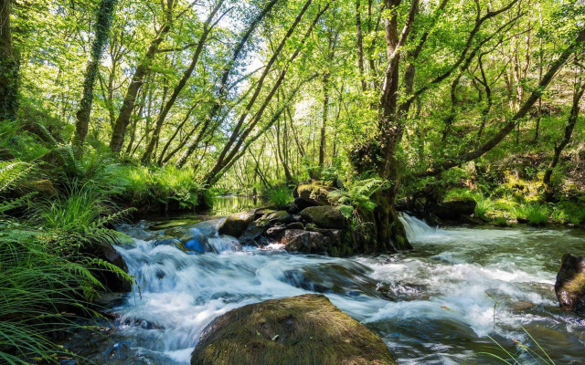 O Muíño de Pena Casa Rural
