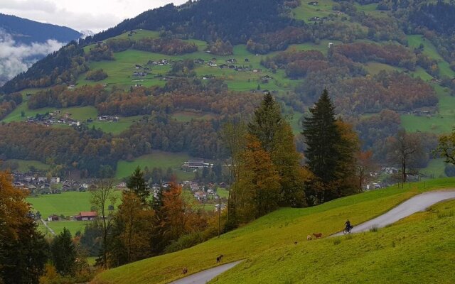 Chalet Mariedl