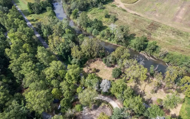 Royal Fern in Pisgah Forest