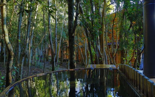 Cabañas Ensenada Bosque Nativo