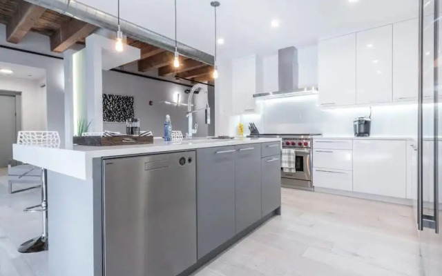 Breathtaking 6 BDR Luxury Condo Downtown Chicago