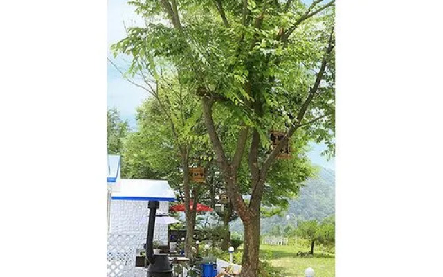 Hongcheon Sol Pension