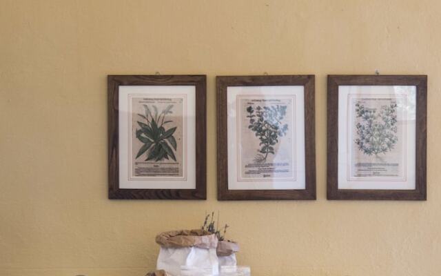 Agriturismo Il Cerreto