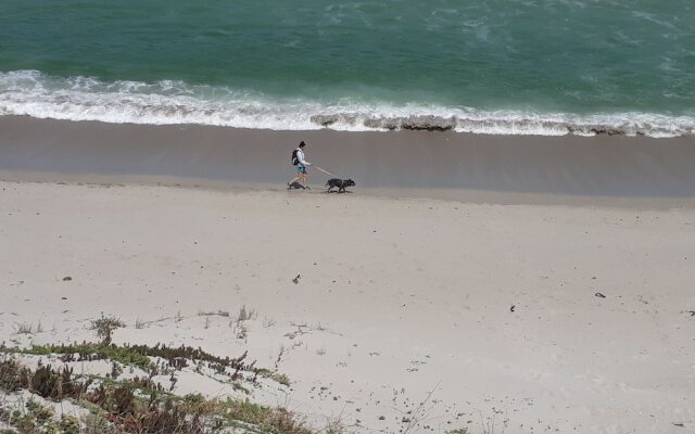 Perle of Paradise Beach