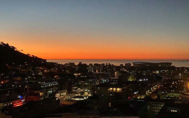 Urban Elephant 16 on Bree