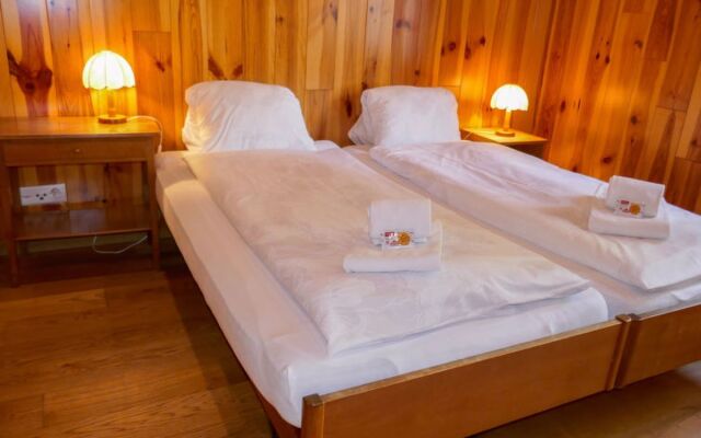 Chalet Anna 23925