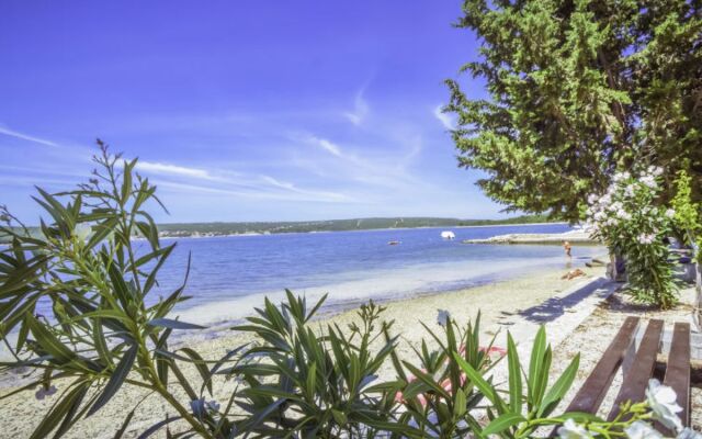 Apartment Amadea Novigrad (Zadar) 41664