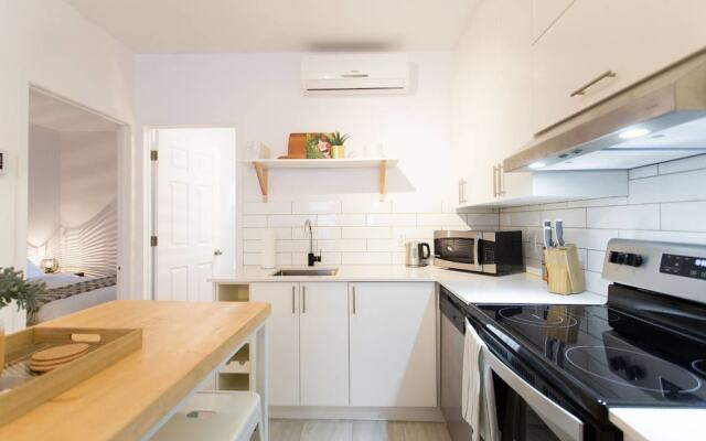 Live Like a Local in Le Plateau