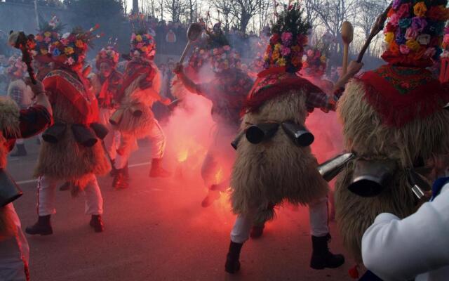 Feel at home studio apartment