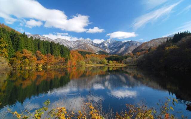 Remote Work at Angel Resort Yuzawa 616