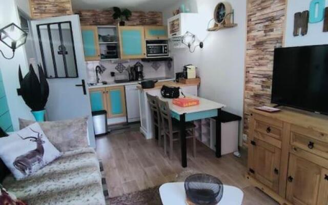 Superbe T2, à 100 mètres des pistes, piscine d'été