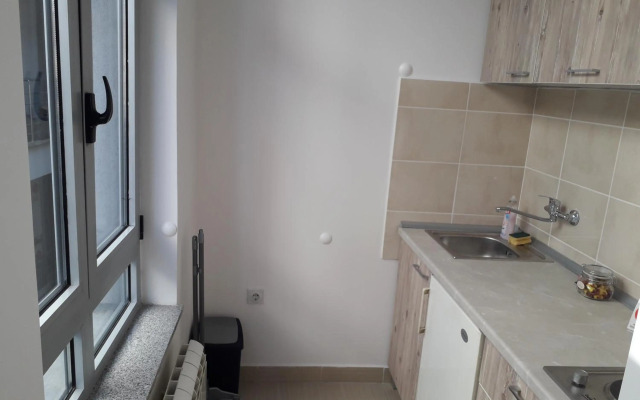 Studio Apartman Ld U Strogom Centru
