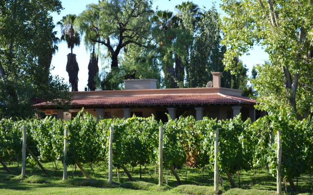 Posada Verde Oliva