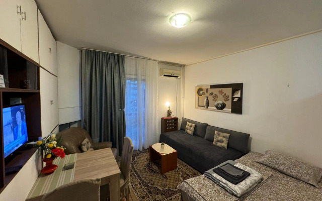 Apartment Dorcol Belgrade