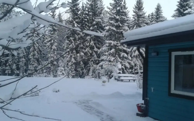 En villa mitt på svenska naturen