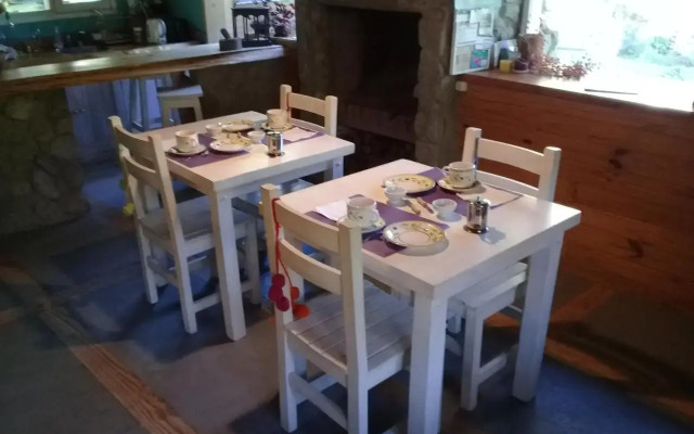 Dodo House