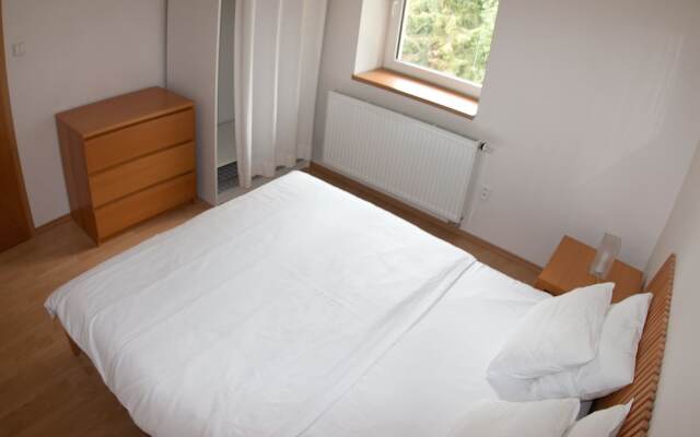 Apartment Poustevnik