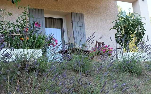 Une Ronce sous le Figuier