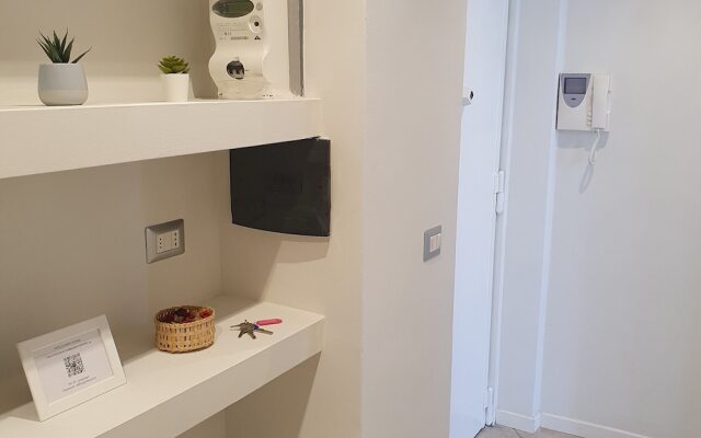 BnButler - Venini 14