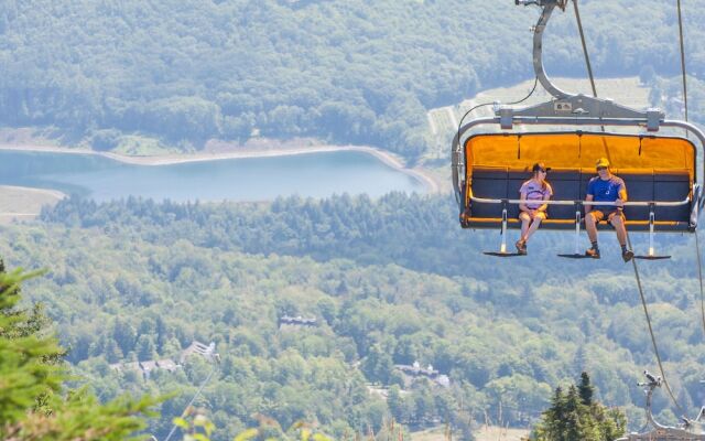 1br Ski-in, Ski-out At Okemo Mountain Lodge 1 Bedroom Condo by RedAwning