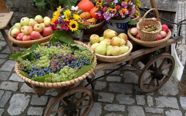 Vintazh Otel Surikova