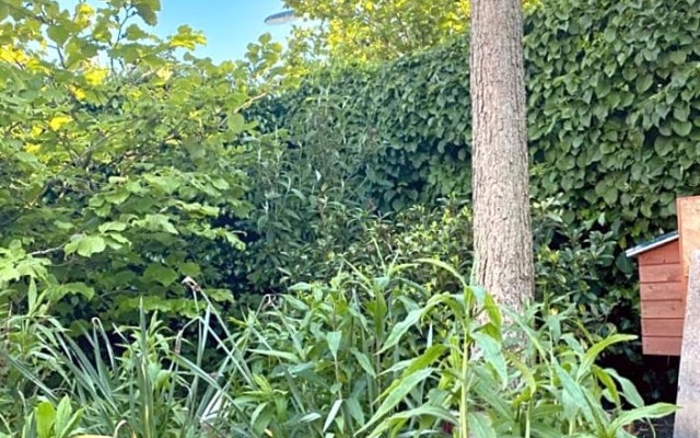 Boukje har Bêd en Brochje