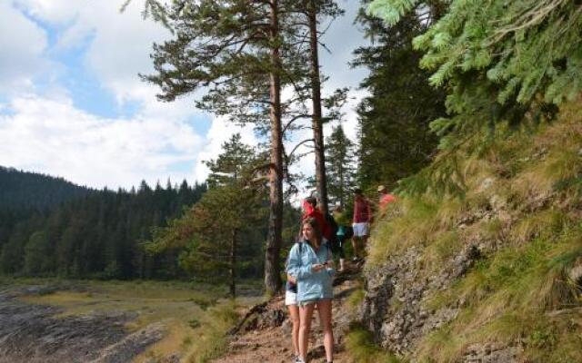 Montenegro Hostel B&B Podgorica