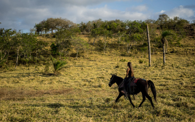 Vida Mountain Resort & Spa - Adults Only