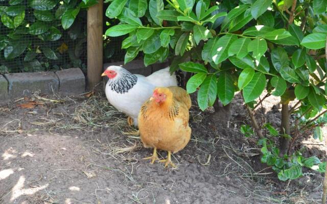B&B “de Boerlarij”
