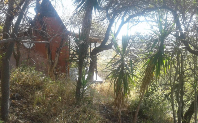 Lentswe Lodge