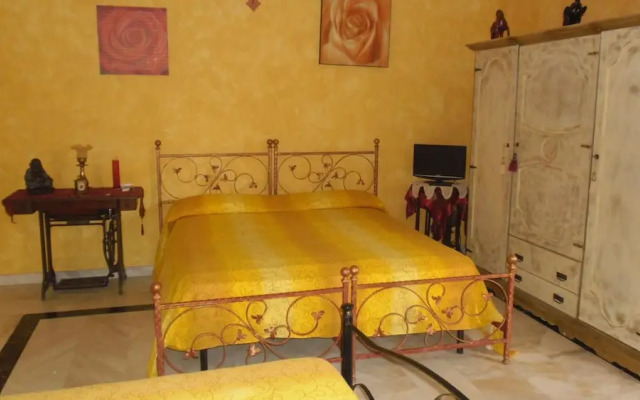 B&B Moonaurora