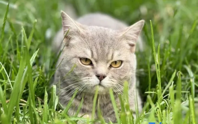 Renjoy Hotel Beijing Yonghe Temple Guijie Siheyuan