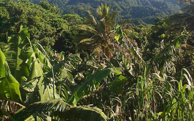 Tony & Aldona's Retreat