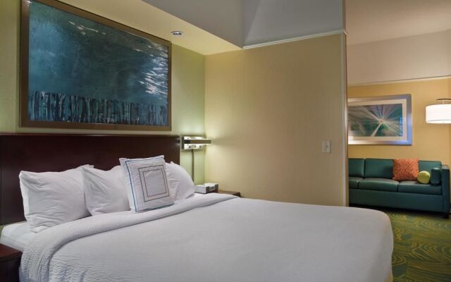 SpringHill Suites St. Petersburg - Clearwater
