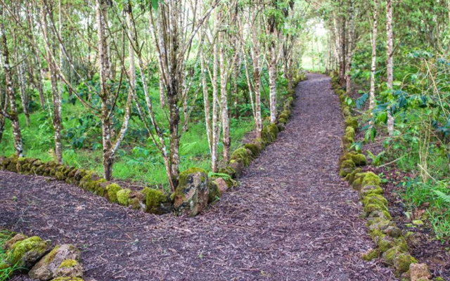 Semilla Verde Boutique Hotel