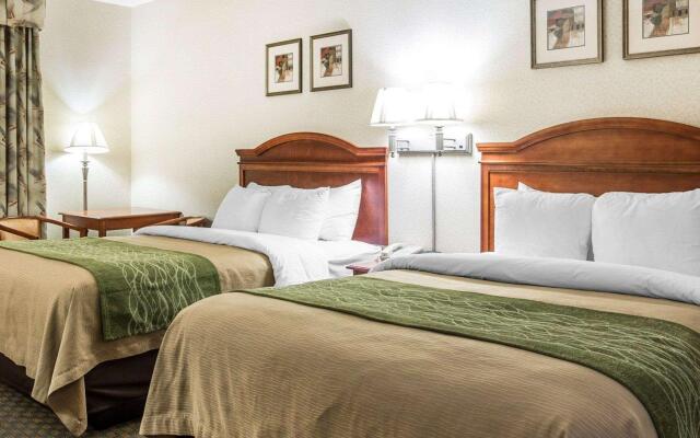 Comfort Inn & Suites Galt - Lodi North