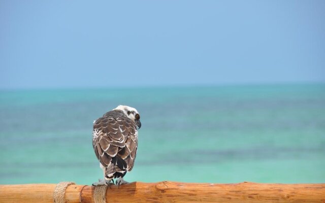 Casa Punta Coco & Beach Club