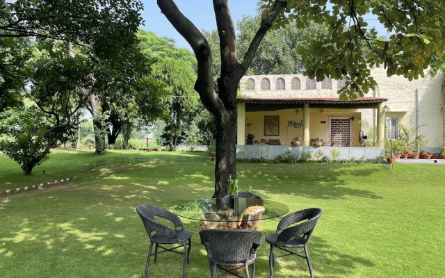 Tree of Life Dak Bunglow