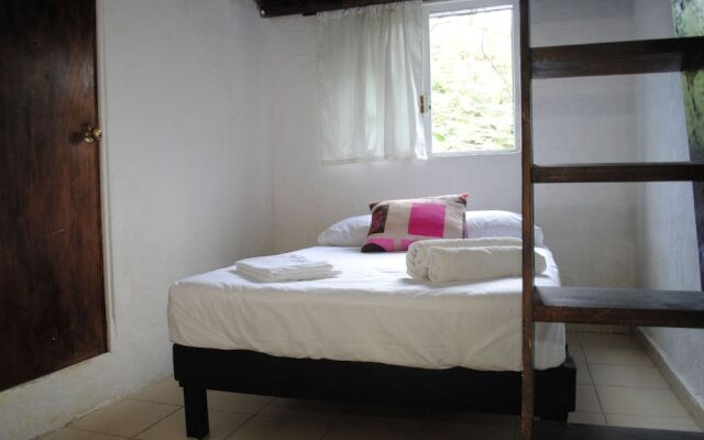 Lobo Inn - Hostel