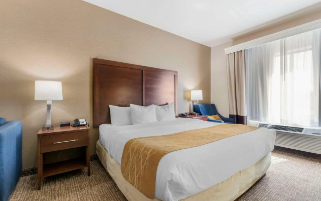 Comfort Inn & Suites Mitchell I-90