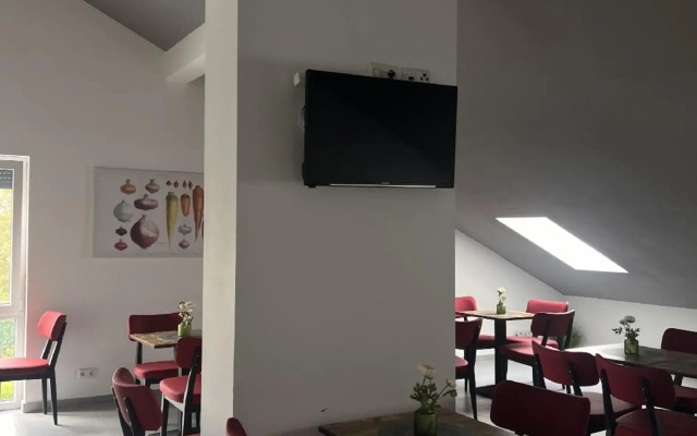 Hotel Radau