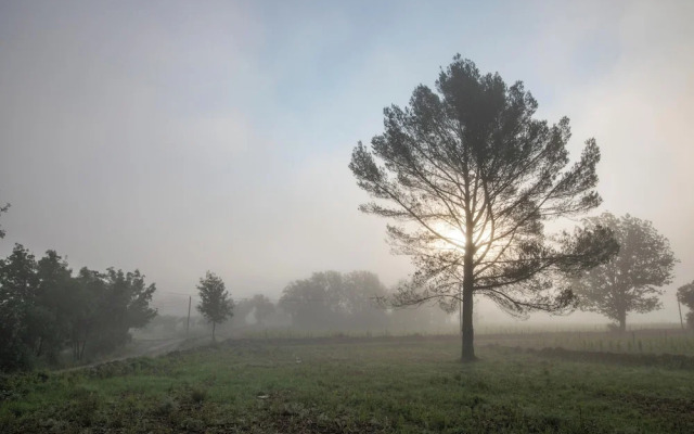 La Bastide Du Murier