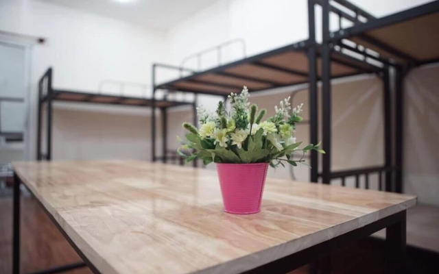 Dreambox Oxeraak Tan Binh - Hostel