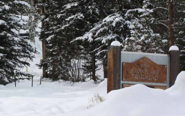 Four O'clock Lodge B14