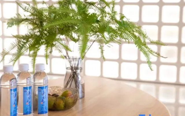 Xijiang Yufeng Homestay