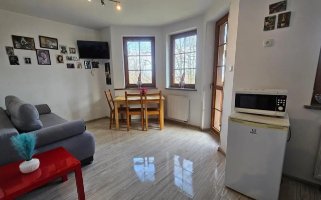 Apartament Paryski