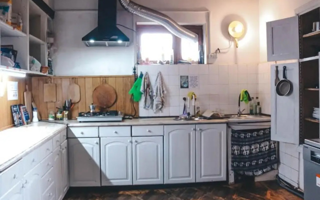 Dingo Backpackers Hostel